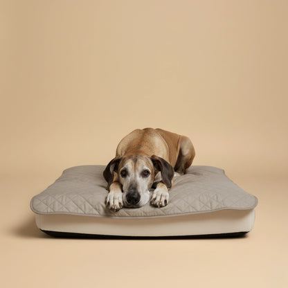 Ease Mat - Premium Washable Pet Pad