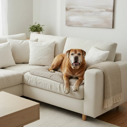 Ease Mat - Premium Washable Pet Pad